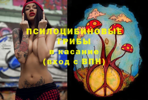 PSILOCYBIN Гусиноозёрск