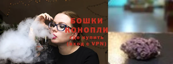 PSILOCYBIN Гусиноозёрск