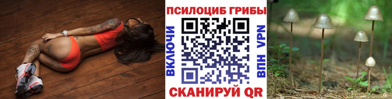 Псилоцибиновые грибы Psilocybine cubensis  Купить  Шацк 